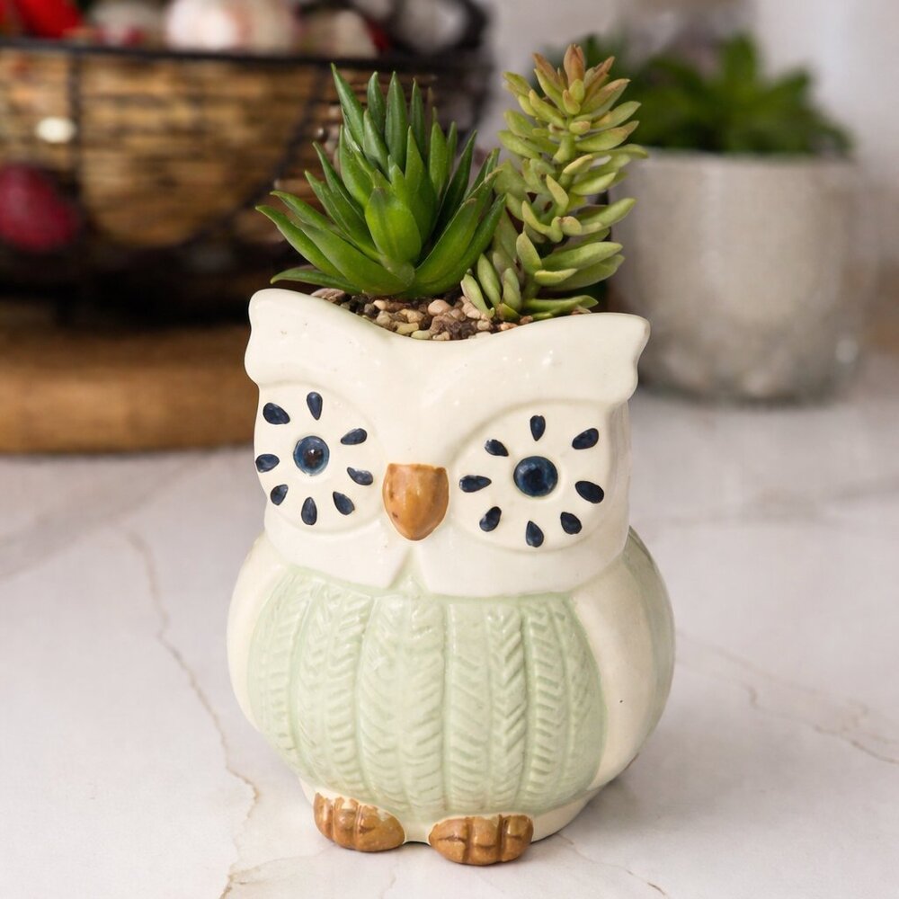 Ceramic‎ Owl Planter with Faux Succulents - Cute Animal Home Decor New w/out Box